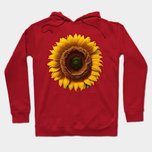 Sunflower Life Hoodie